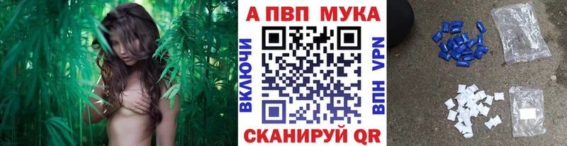 Альфа ПВП СК  Луза 