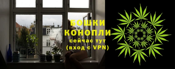 гидра Белая Холуница