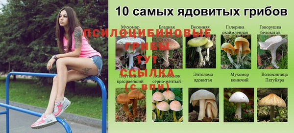 бутират Медногорск