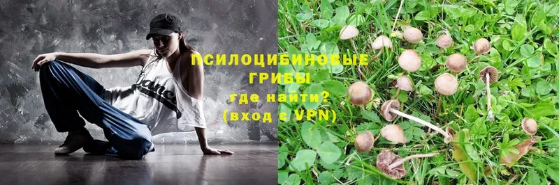 Галлюциногенные грибы Magic Shrooms  Луза 