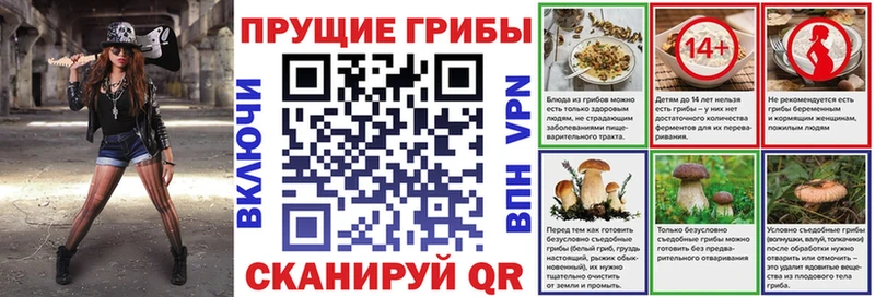 Галлюциногенные грибы Psilocybe  наркота  Луза 